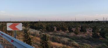 Torpaq sahələrinin satışı: 22 sot, Kənd təsərrüfatı, Mülkiyyətçi, Texniki pasport — 8