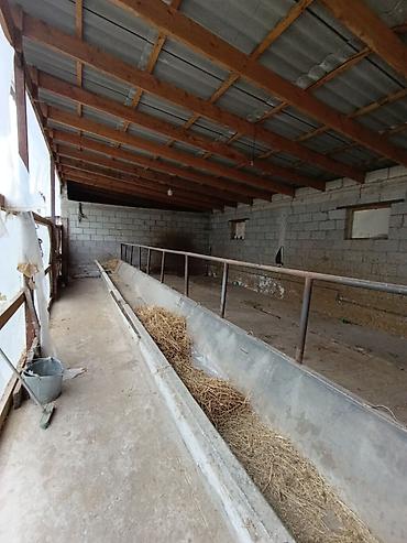 Продажа коттеджей и домов: 2 дома | 50 соток | 60 КВ.м | 65 кв.м В с. Петровка вдоль трассы — 2