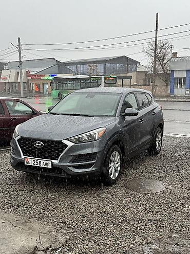 Hyundai: Hyundai Tucson: 2019 г., 2 л, Бензин — 10