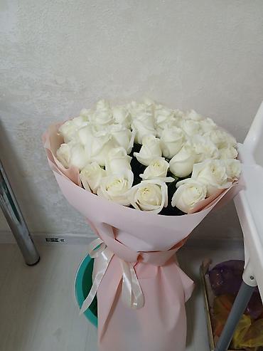 rose: Срочно продаю цветыБелая Роза свежие и цветы в корзинке розы цена за — 1