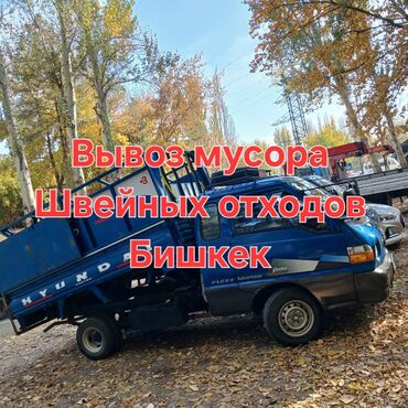 клетка для крысы: Вывоз мусора Вывоз мусора вывоз мусора Вывоз мусора вывоз мусора