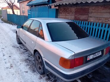 Audi: Audi 100: 1993 г., 2.3 л, Автомат, Газ, Седан