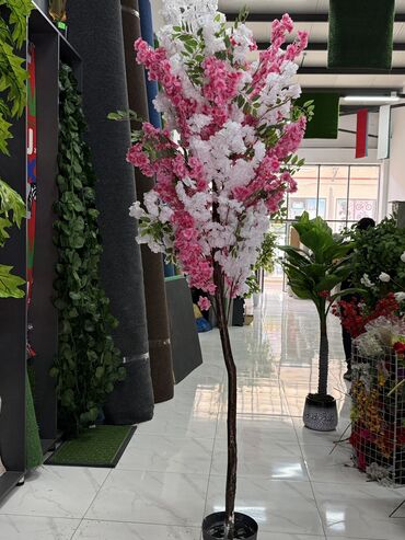 Güzgülər: Güzgü Divar üçün — 16