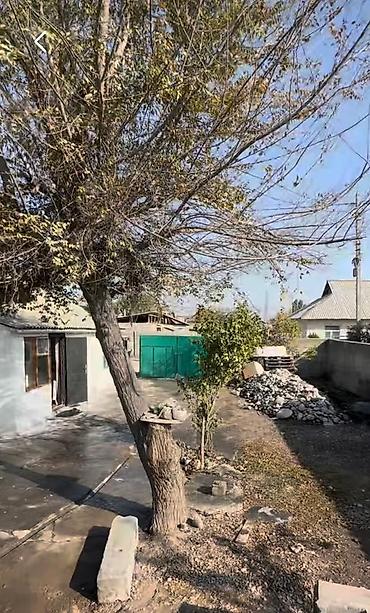 3 комнаты, 50 м², 3 соток, Бишкек, Дордой-2 ж/м Агентство недвижимости at lalafo.kg 3 комнаты, 50 м², 3 соток, Бишкек, Дордой-2 ж/м Агентство недвижимости