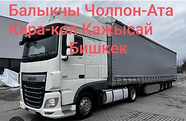 тв зона бишкек: Грузоперевозки тентованной фурой DAF (еврофура, длинномер). Маршруты — 1