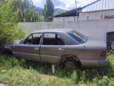 Mercedes-Benz: Mercedes-Benz : 1990 г., 2.5 л, Механика, Дизель