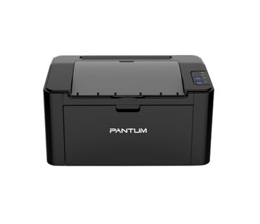 корпус для компьютера: Принтер Pantum P2207 black (1200х1200 dpi, ч/б, 20 стр/мин, USB)