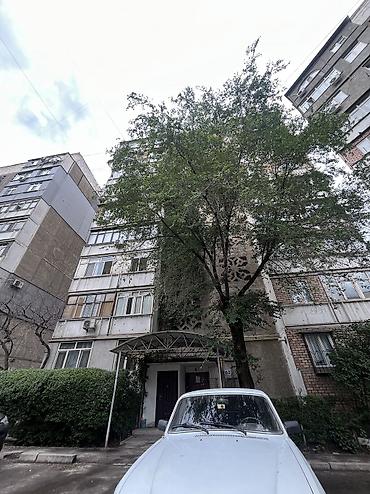 Долгосрочная аренда квартир: 3 комнаты, Риэлтор — 15