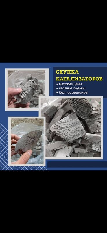 Транспорт - Пригородное: Скупка катализаторов Скупка автокатализаторов