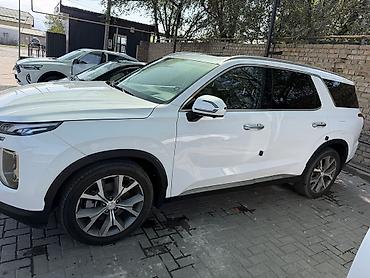 соренто машина: Hyundai Palisade: 2022 г., 2.2 л, Автомат, Дизель, Кроссовер — 5