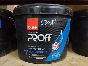 акриловые краски для ванны цена: Краска акриловая brite PRO LINE PROFF, влагостойкая (WATERPROOF) — 1