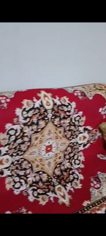 Mətbəx mebeli: Kirayə ev Gəncədə. 2 otaq. Yalnız ailələrə verilir. Yasayiş üçün bütün -da lalafo.az — 4 Mətbəx mebeli: Kirayə ev Gəncədə. 2 otaq. Yalnız ailələrə verilir. Yasayiş üçün bütün — 4