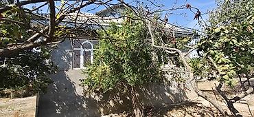 kirayə ev nəsimi: Satılır: yaşayış evi və torpaq sahəsi - Ünvana daxil olan hasarlı — 8
