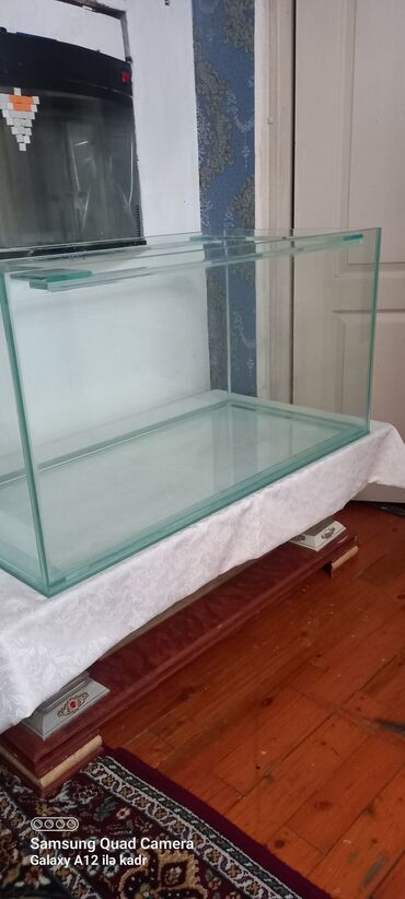 купить аквариум: Şüşə akvarium -ölçüləri uzunu 105 sm . eni 52 sm . hündürü 53 sm 290