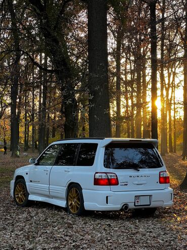 Subaru: Subaru Forester: 2002 г., 2.5 л, Механика, Бензин