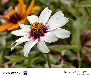 512: Vivo X200, Б/у, 512 ГБ, цвет - Зеленый, 2 SIM — 10