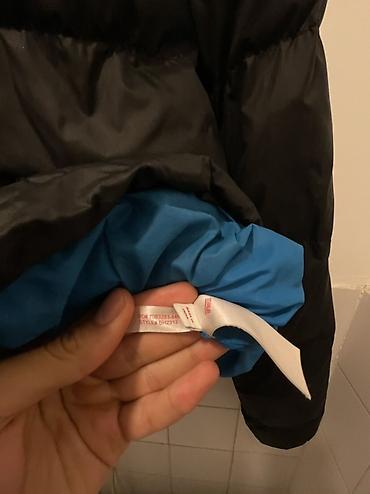 lil solid accessories: Lacoste L!VE muška zimska jakna, model BH2312, veličina 54 (na — 4