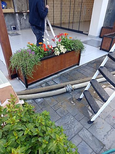 Горшки для растений: Taxtalar ile ev, bağ, restoran, ofis, otel ve s. məkanlarınızın müasir — 4