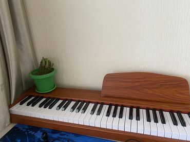 Музыкальные инструменты: Пианино 
88 клавиш 
Вес: 10 кг