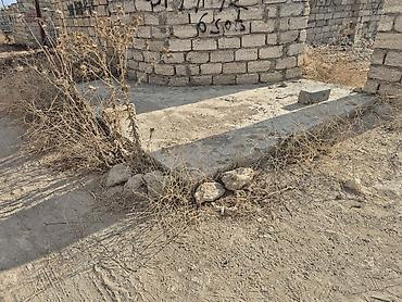 Torpaq: 6 sot, Tikinti, Mülkiyyətçi, Kupça (Çıxarış) — 6