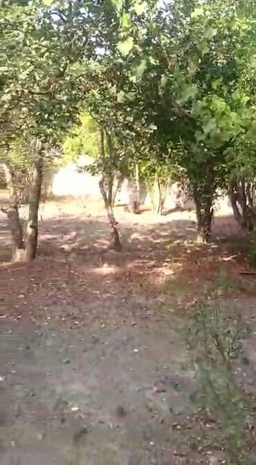 Həyət evləri və villaların satışı: 2 otaqlı, 120 kv. m, Kredit yoxdur, Orta təmir -da lalafo.az — 10 Həyət evləri və villaların satışı: 2 otaqlı, 120 kv. m, Kredit yoxdur, Orta təmir — 10