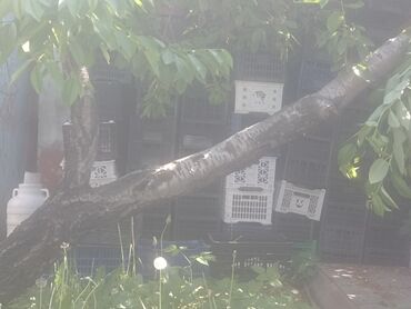 приму женские вещи в дар: Кимге ящик керек болсо алып кеткиле 10сомдон