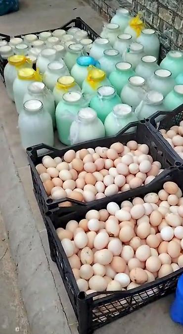bezekli yumurtalar: Bərdə kənd qatığı – təbii süd mayası ilə hazırlanır, şüşə bankalarda — 2
