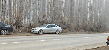 мото каракол: Mercedes-Benz C-Class: 2003 г., Автомат, Дизель, Седан — 1