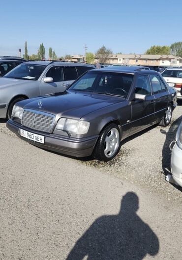 Mercedes-Benz: Mercedes-Benz W124: 1995 г., 2.2 л, Автомат, Бензин, Седан