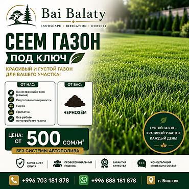 Сеем газон под ключ Красивая и густая лужайка для вашего участка