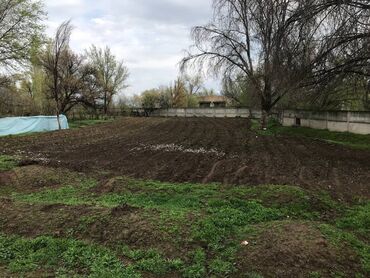 Продажа участков: 2600 соток, Тех паспорт, Генеральная доверенность, Красная книга — 9