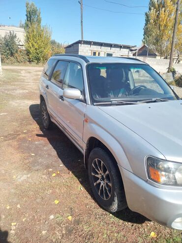 Subaru: Subaru Forester: 2024 г., 2 л, Механика, Бензин, Кроссовер — 3