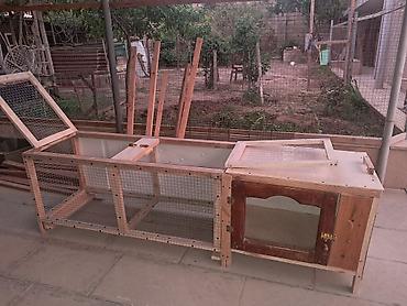 akvarium xırda balığı: Tecili qefes satilir 2 ededdi balaca qefes 30 manata boyuk qefes — 2