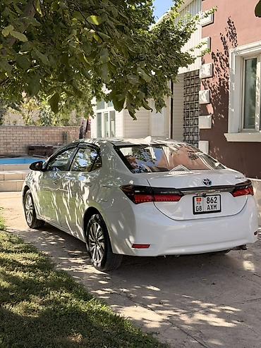 китайский мини машина: Toyota Corolla: 2020 г., 1.8 л, Автомат, Бензин, Седан — 4