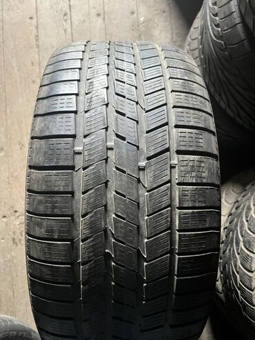 shina ot displazii: Шины 275 / 40 / R 20, Всесезонная, Б/у, 1 шт, Легковые, Германия, Pirelli