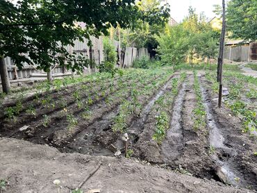 Продажа домов: Дом, 95 м², 4 комнаты, Собственник, Старый ремонт at lalafo.kg — 26 Продажа домов: Дом, 95 м², 4 комнаты, Собственник, Старый ремонт — 26