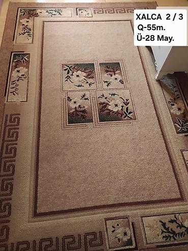 Döşəmə: Xalça 2/3 - Ölçü: 2x3 m kateqoriyasında (etiketdə “2/3”) - Qalınlıq — 1