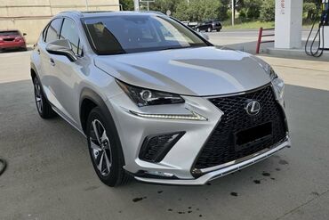 runx alex: Lexus NX: 2018 г., 2 л, Автоматические, Бензин, Кроссовер