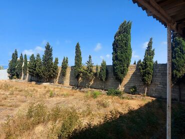 Torpaq sahələrinin satışı: 30 sot, Mülkiyyətçi, Kupça (Çıxarış), Bələdiyyə -da lalafo.az — 7 Torpaq sahələrinin satışı: 30 sot, Mülkiyyətçi, Kupça (Çıxarış), Bələdiyyə — 7