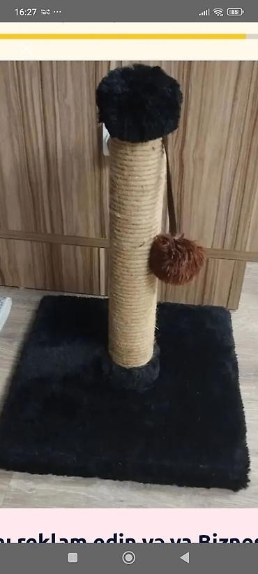 pisik evleri: Məhsul: Pişik üçün qartma dirəyi (scratching post) Xüsusiyyətlər: - — 1