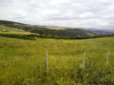 Torpaq sahələrinin satışı: 300 sot, Kənd təsərrüfatı, Mülkiyyətçi -da lalafo.az — 4 Torpaq sahələrinin satışı: 300 sot, Kənd təsərrüfatı, Mülkiyyətçi — 4