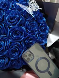 ноутбук ош: IPhone 11 Pro Max, 256 ГБ