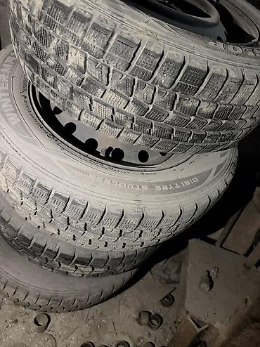 Шины и диски: Стальное колесо в сборе с зимней шиной Dunlop, стояли на Субару легаси — 3