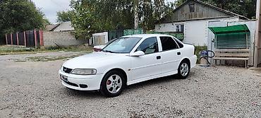 dewoo tiko: Opel Vectra: 2001 г., 1.8 л, Автомат, Бензин, Седан — 2