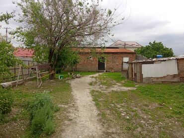 4 соток, Красная книга, Тех паспорт