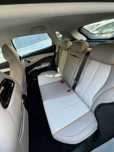 BYD: BYD : 2024 г., Электромобиль — 8