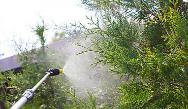 Уборка территории: Уборка территории, Уборка двора и сада, Стрижка газона, Уход за деревьями — 5