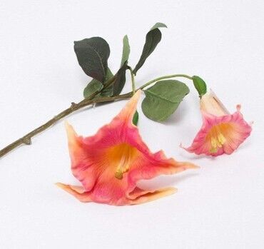 декоративный цветок: Цветок - "Дурман" высота 80 см. Новое направление цветов для