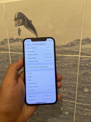 купить терабайт памяти: IPhone 12 Pro, Б/у, 512 ГБ, Синий, Защитное стекло, Чехол, 76 %