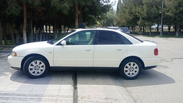 kia sed: Audi A4: 1.8 l | 2000 il Sedan
